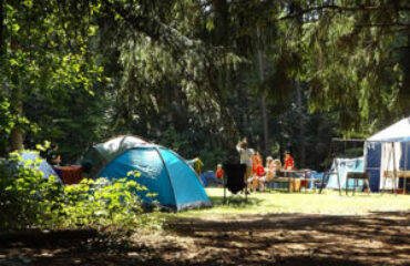 etudes - AIDE DE CAMP - Services aux professionnels de l’hébergement touristique