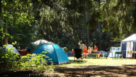 etudes - AIDE DE CAMP - Services aux professionnels de l’hébergement touristique